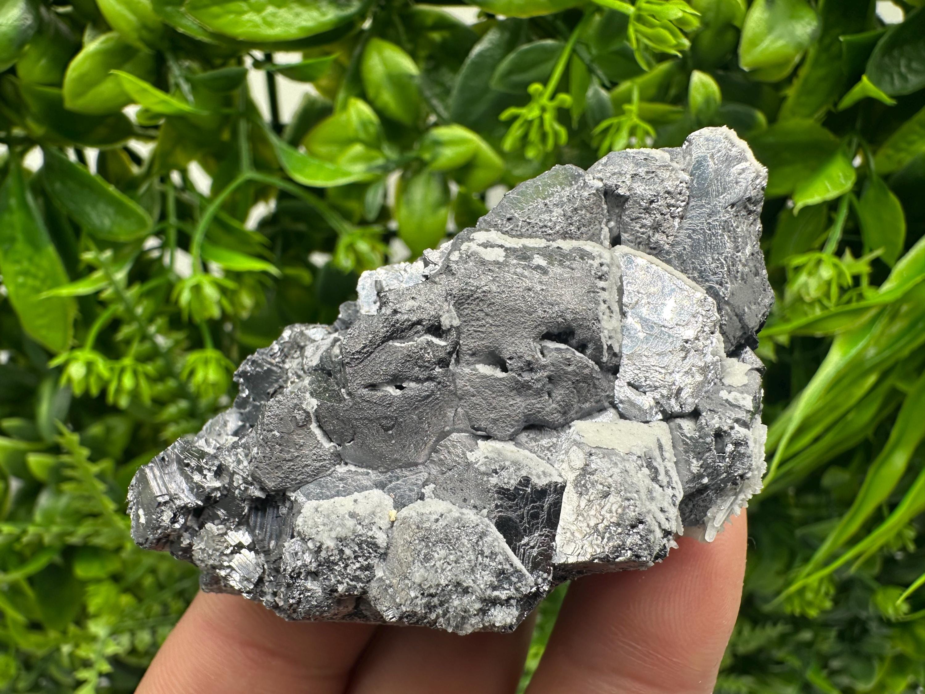 Galena with Quartz Specimen: Krushev Dol Mine, Bulgaria