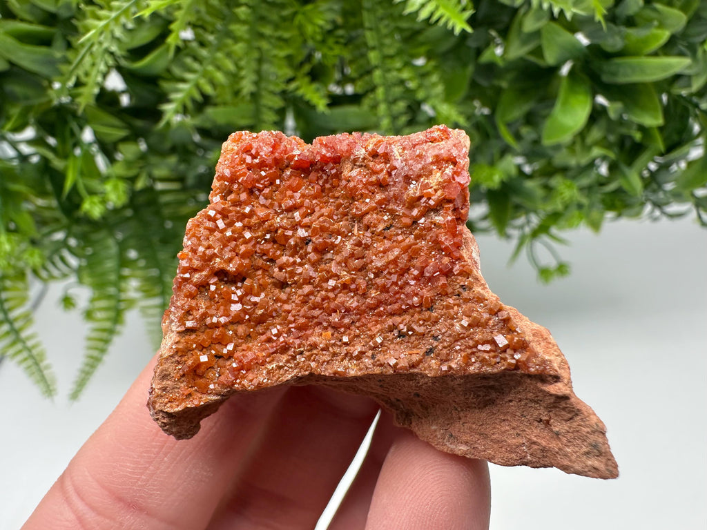 Red Vanadinite on Matrix from Marocco,crystal minerals Speciment cluster Vanadinite crystal Vanadinite Geology Vanadinite cluster minerals