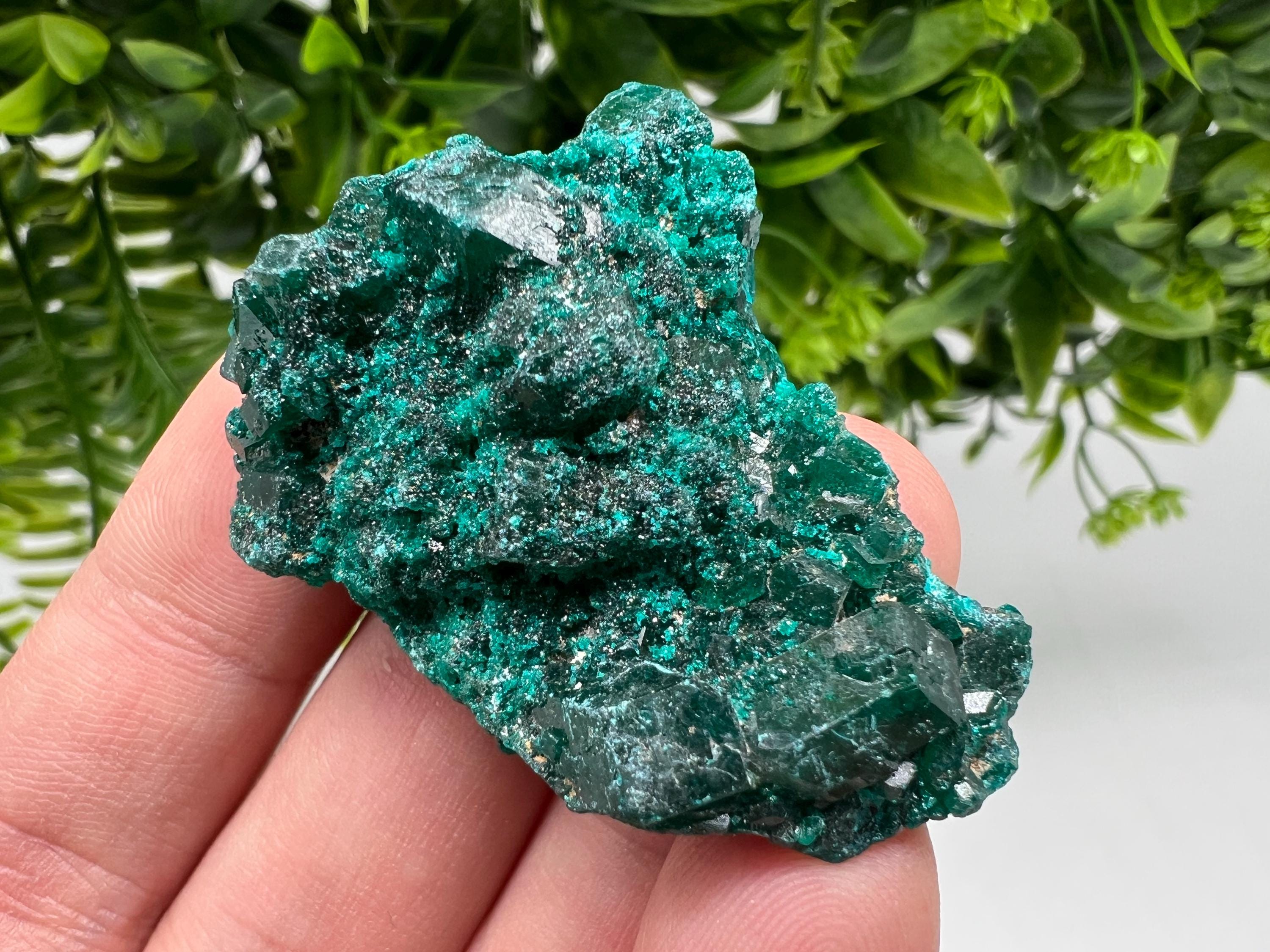 Stunning Green Dioptase from Sanda Hills,Mindouli,Pool Department,Mindouli District,Congo,green Dioptase,Dioptas Crystal,Dioptase collecting