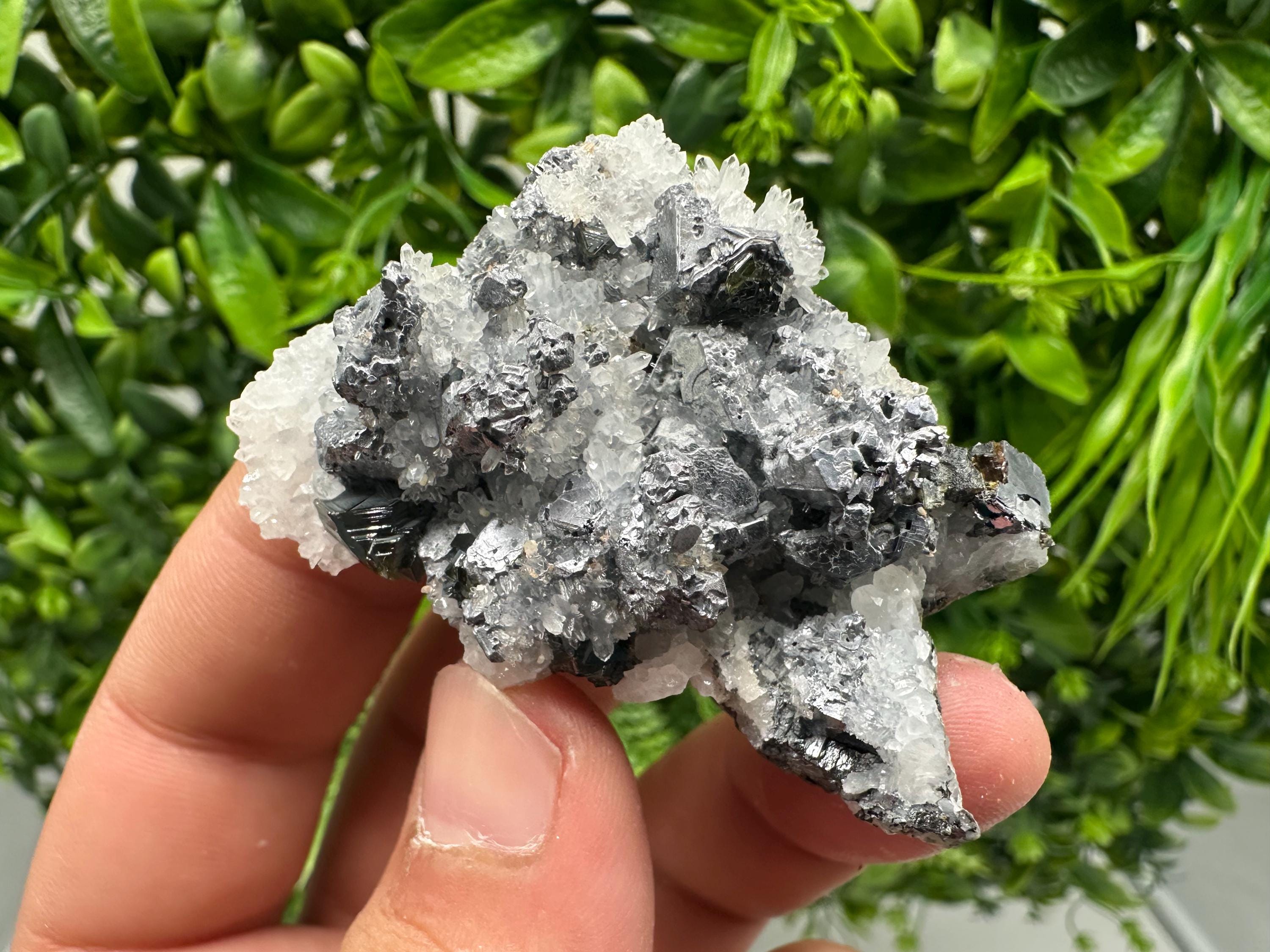 Rare Galena Sphalerite Pyrite Mineral Specimen: Krushev Dol Mine, Bulgaria