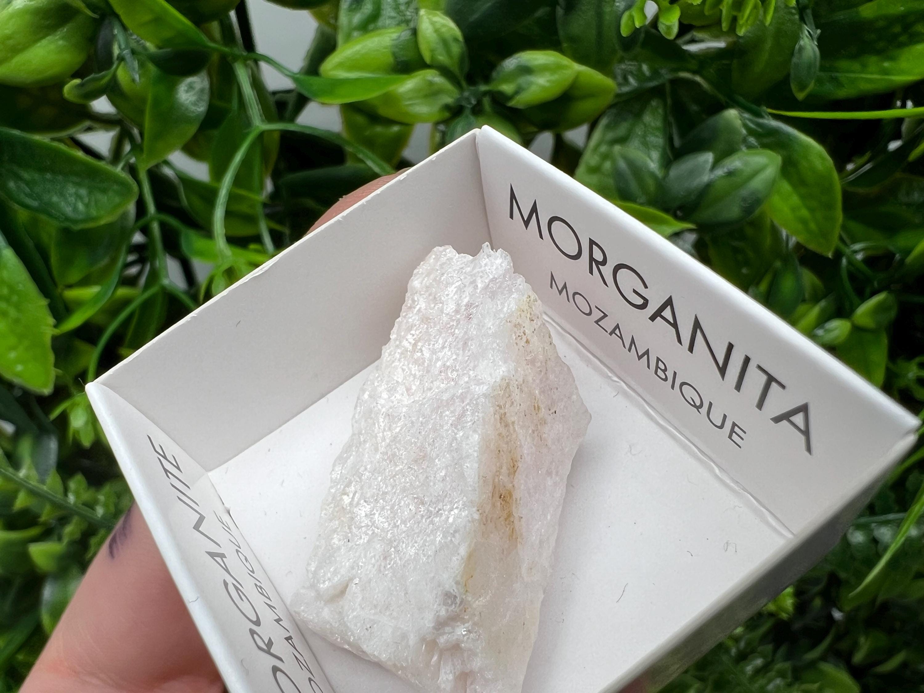 Rare Raw Morganite Specimen: Mozambique Crystal Mineral