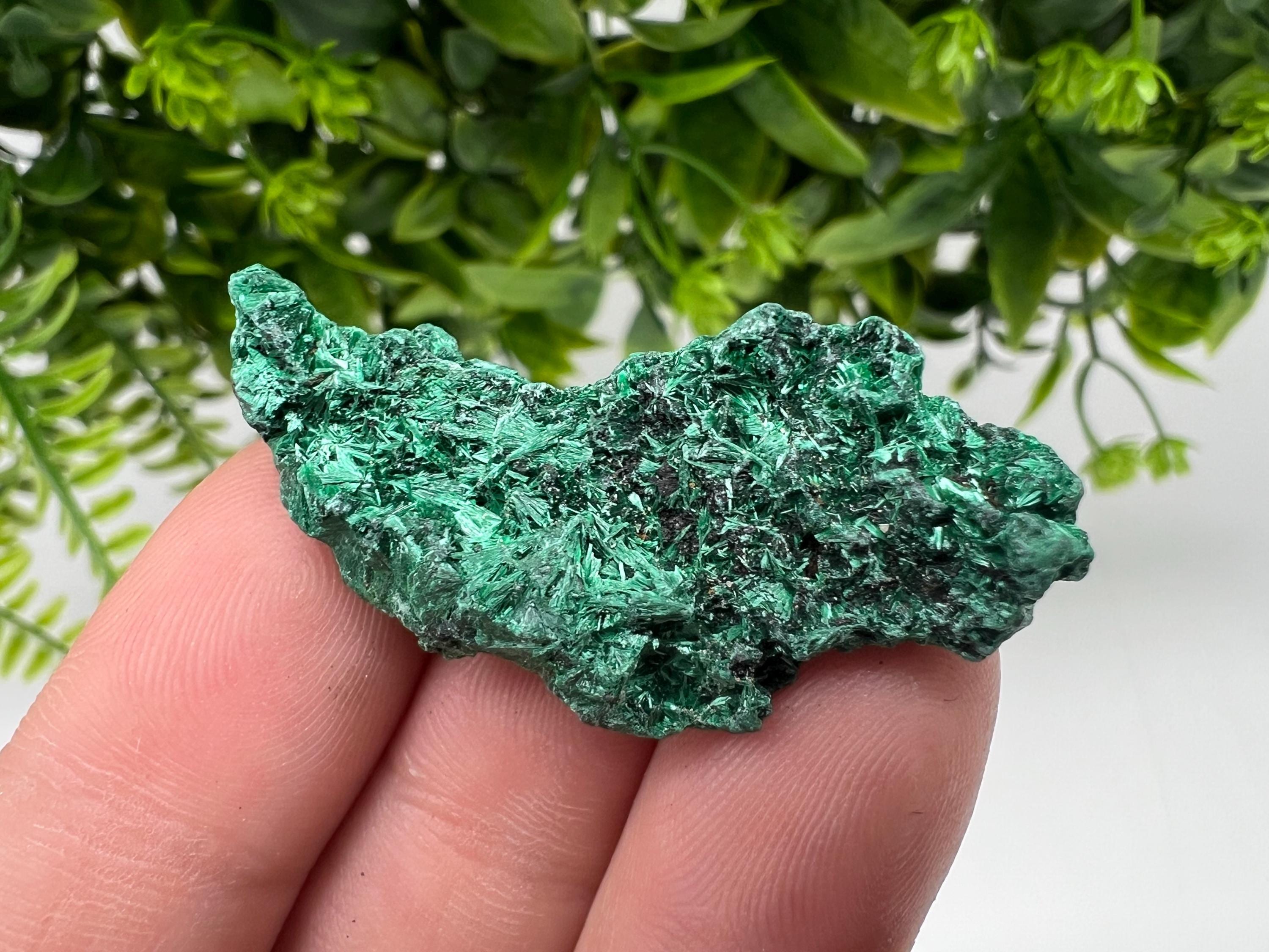 Malachite Crystal from Congo,Minerals,Crystals from Congo,Green Malachite, Malachite,Natural Malachite,Malachite Stone,Chakra, Specimens