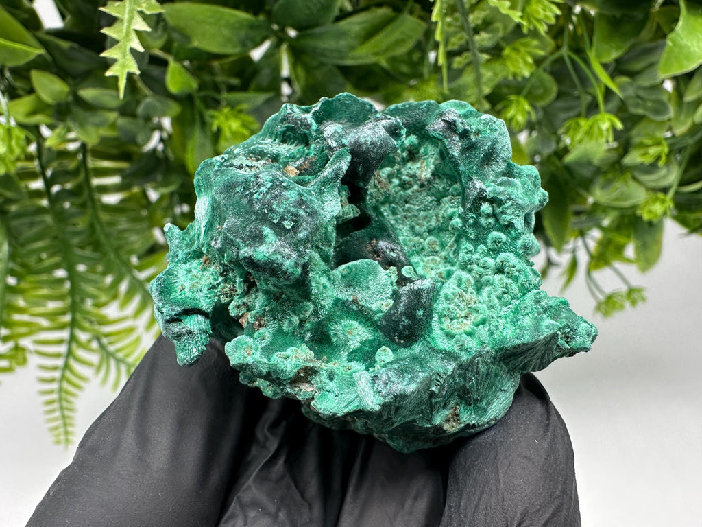 Malachite Crystal from Congo,Minerals,Crystals from Congo,Green Malachite, Malachite,Natural Malachite,Malachite Stone,Chakra, Specimens