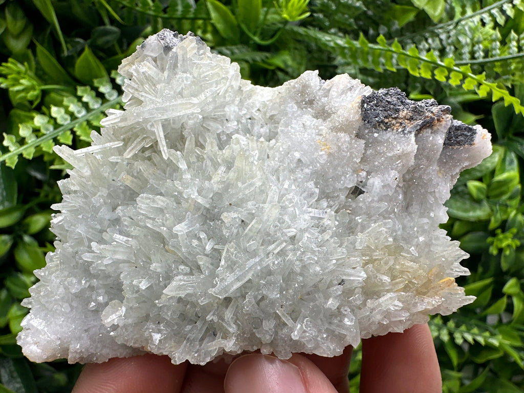 Chlorite Quartz Crystal with Hematite: Borieva Mine, Bulgaria