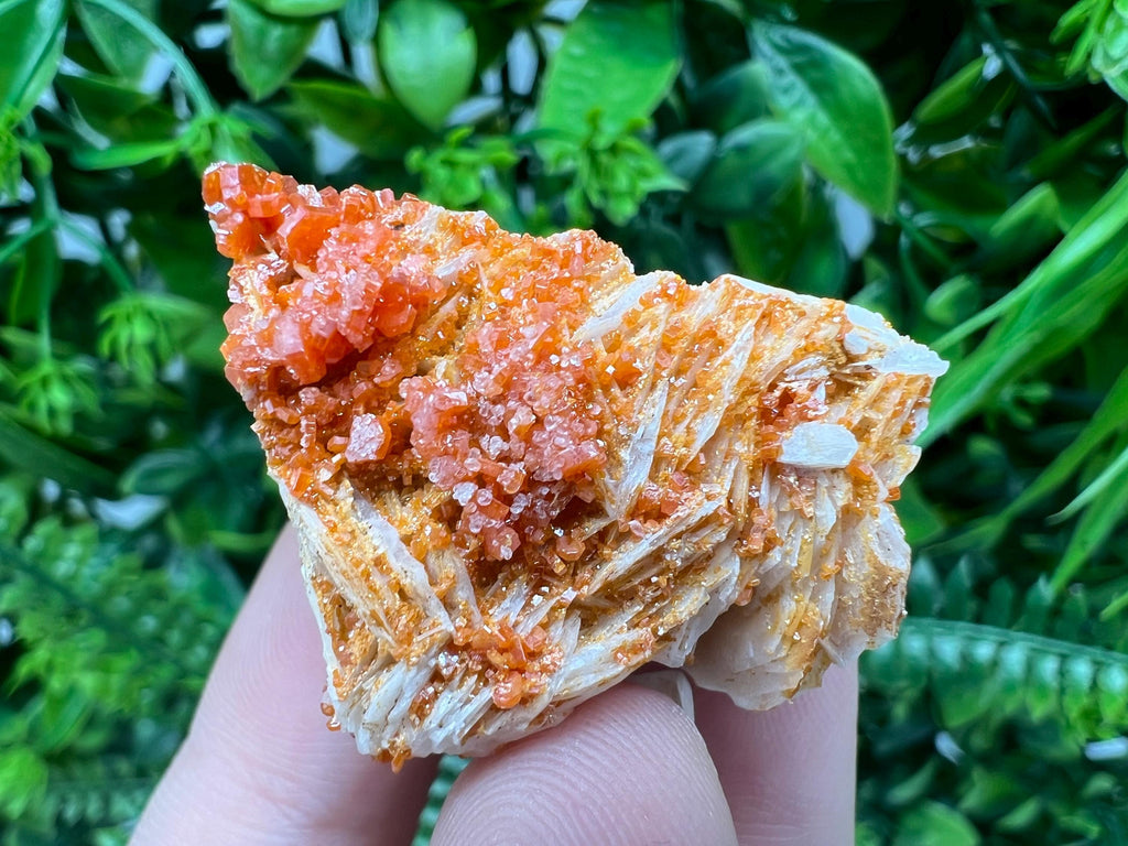 Red Vanadinite on Barite from Marocco,crystal minerals Speciment cluster Vanadinite crystal Vanadinite Geology Vanadinite cluster minerals