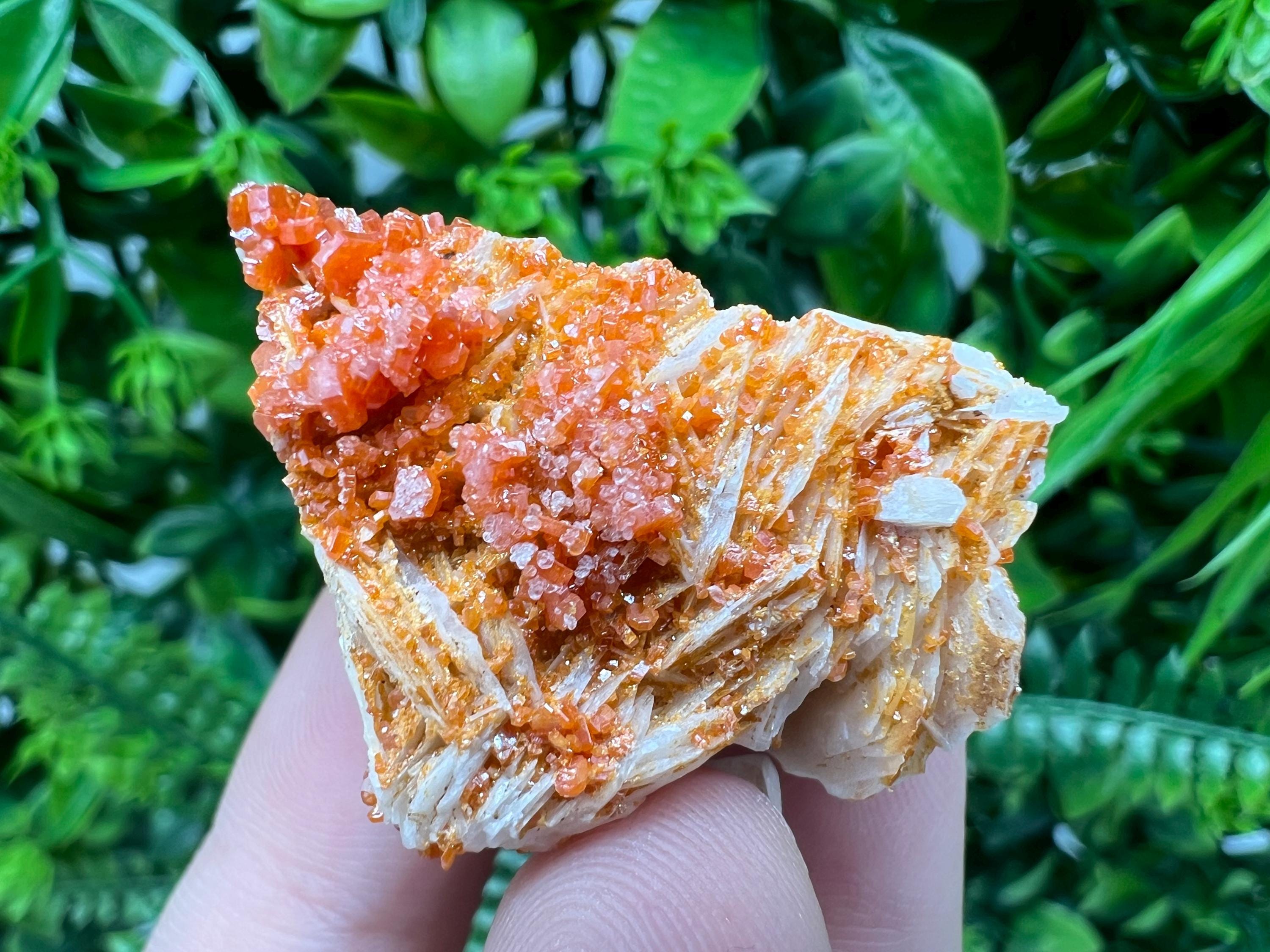 Red Vanadinite on Barite from Marocco,crystal minerals Speciment cluster Vanadinite crystal Vanadinite Geology Vanadinite cluster minerals