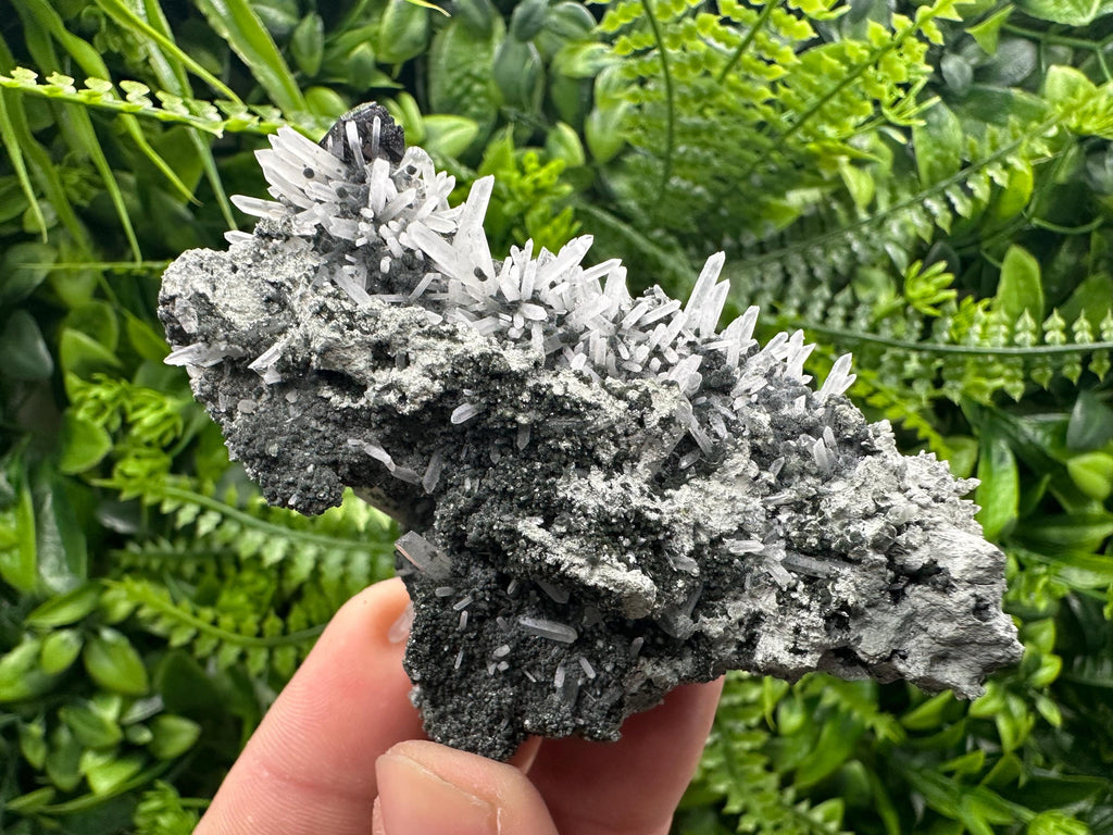 Quartz with Chlorite and Sphalerite, Borieva Mine Mineral Specimen