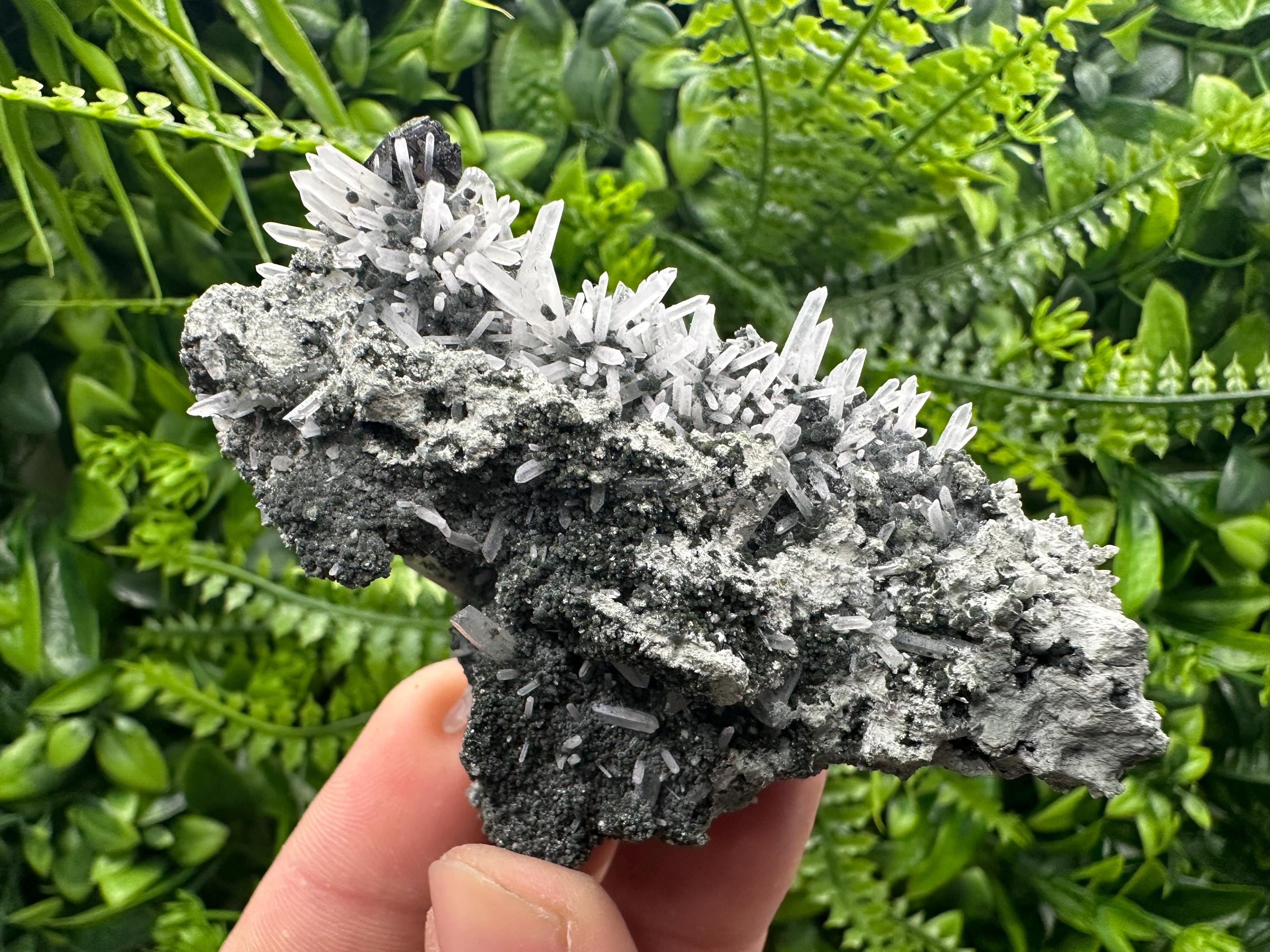 Quartz with Chlorite and Sphalerite, Borieva Mine Mineral Specimen