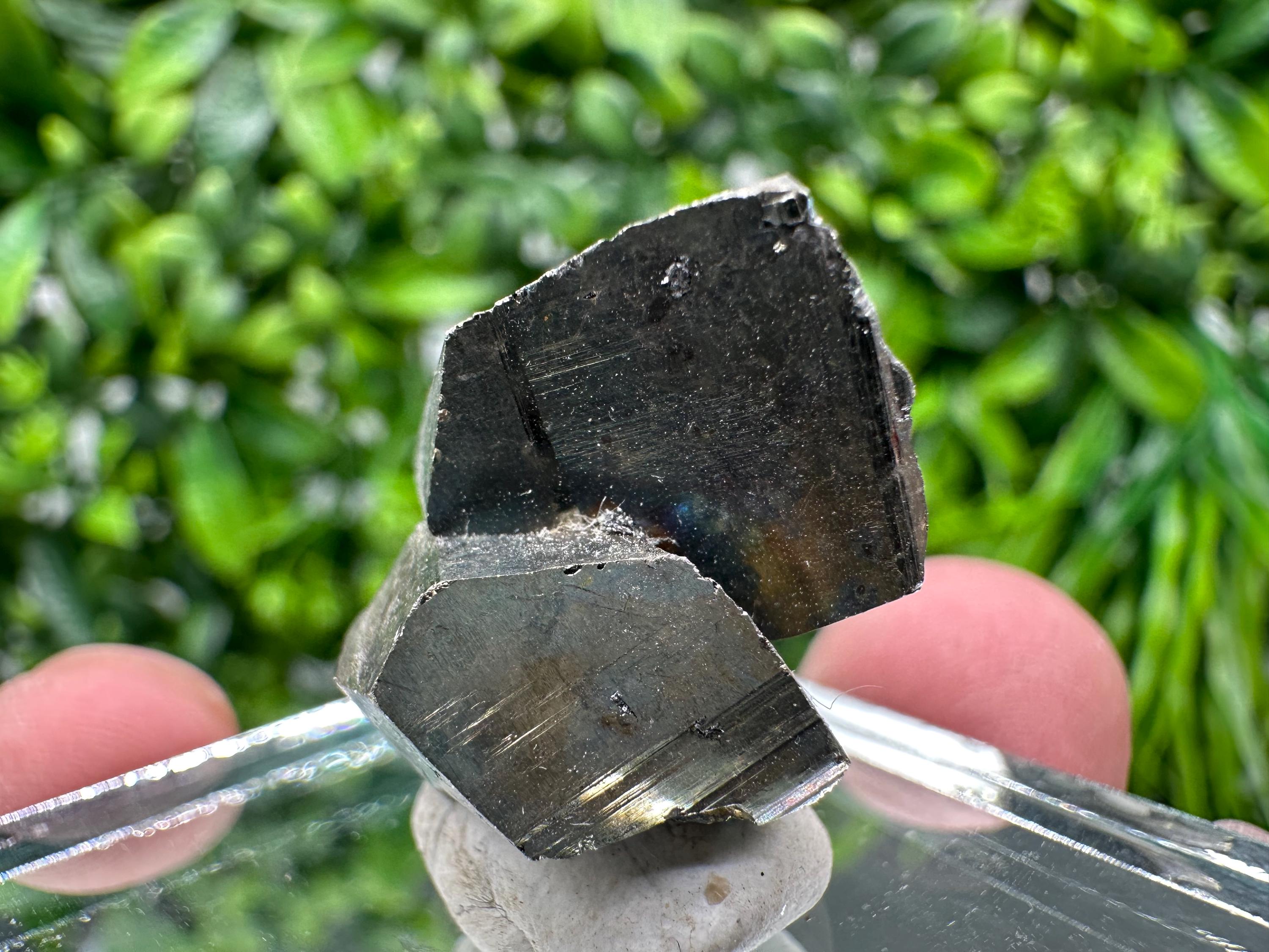 Mini Crystallization Pyrite Specimen, Borieva Mine, Bulgaria