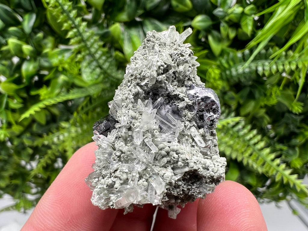 Sphalerite with Chlorite Crystal, Borieva Mine, Bulgaria