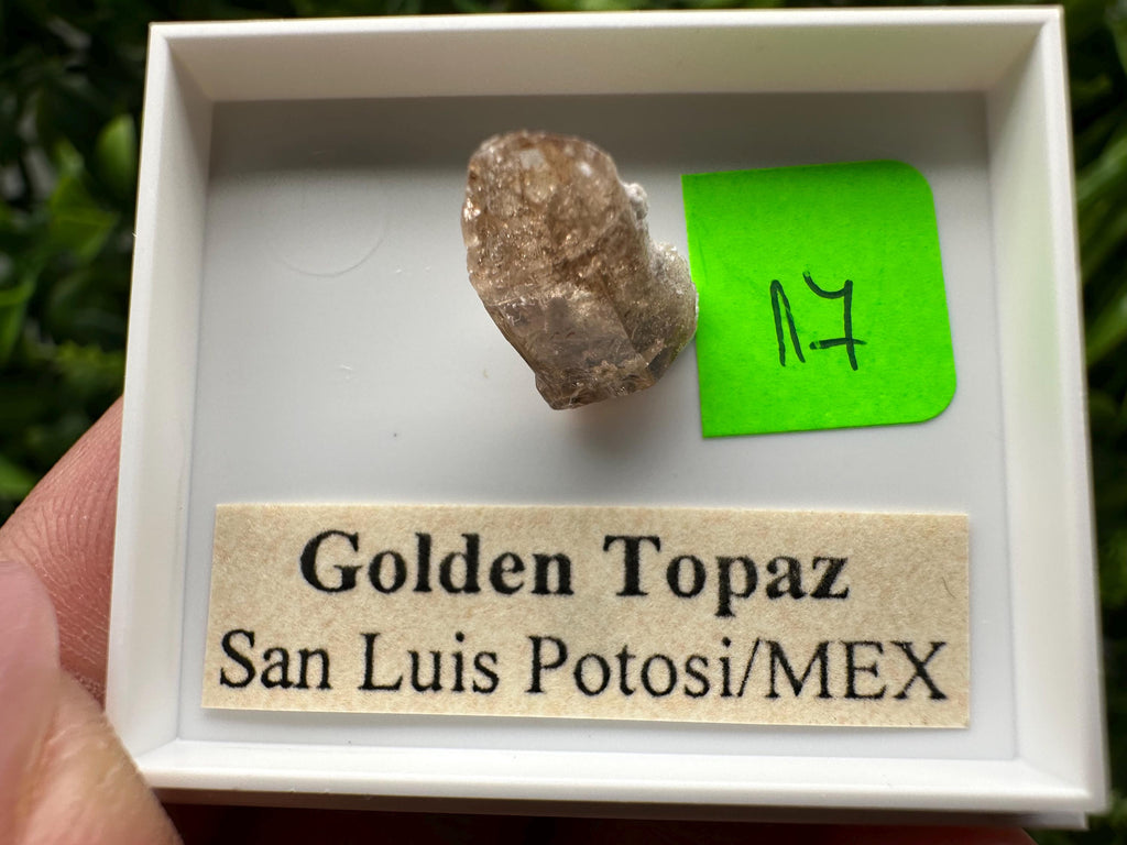 Golden Topaz Crystal, Mineral Specimen from Mexico
