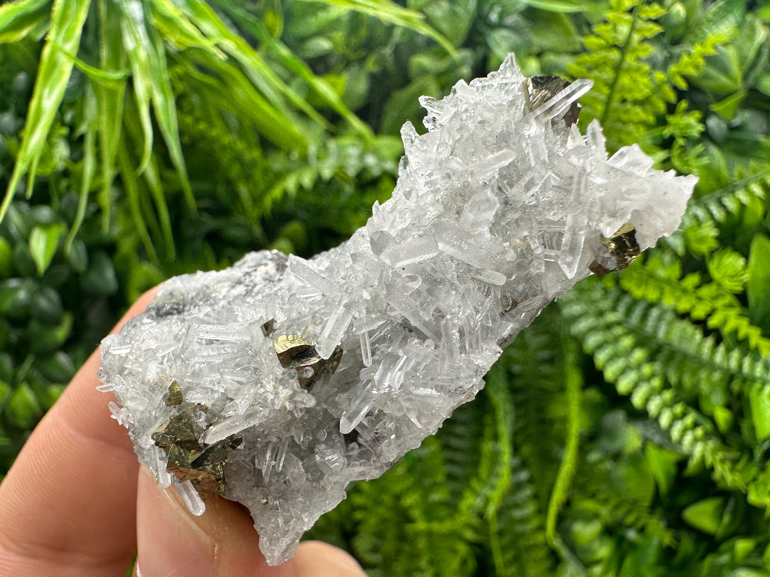 Chalcopyrite on Quartz: Borieva Mine, Bulgaria