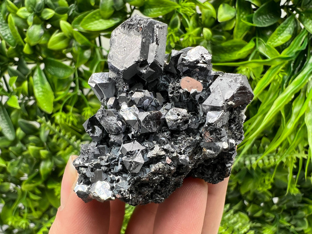 Galena Spinel Law on Sphalerite, Borieva Mine Mineral Specimen
