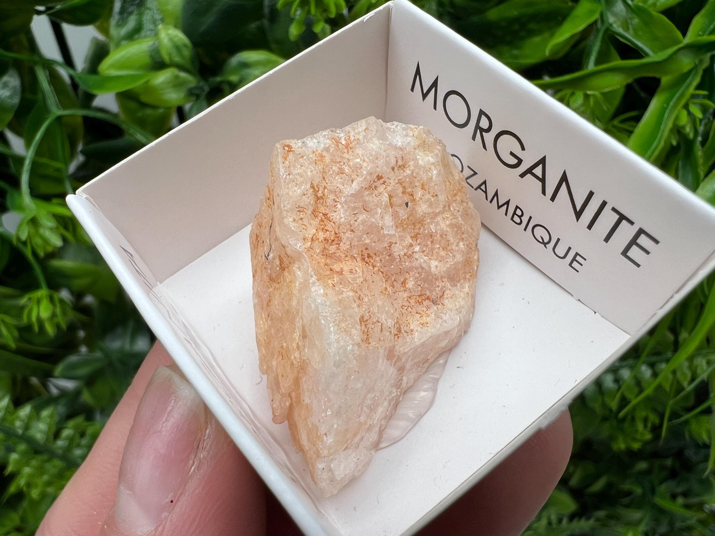 Rare Raw Morganite Specimen: Mozambique Crystal Collection (3/3.5cm)