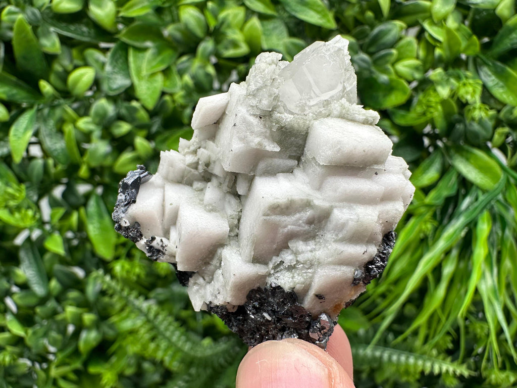 Stunning Shpinel Galena on Sphalerite,Calcite from Borieva mine,Madan,Bulgaria,Natural,collectible mineral specimen,home decor,collectible’s