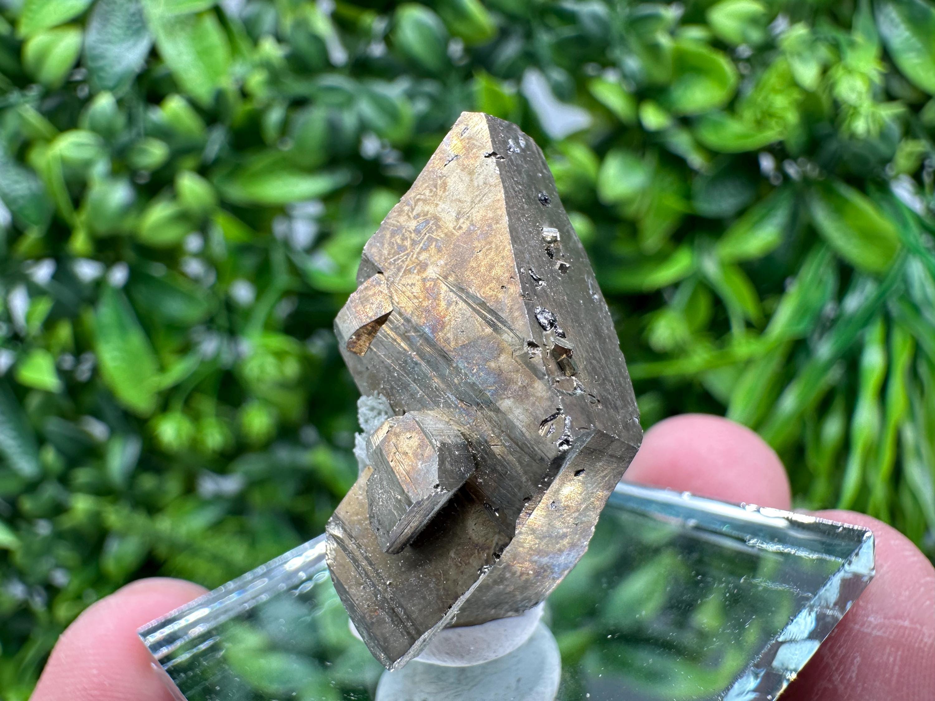 Mini Rainbow Pyrite Cluster: Borieva Mine, Bulgaria