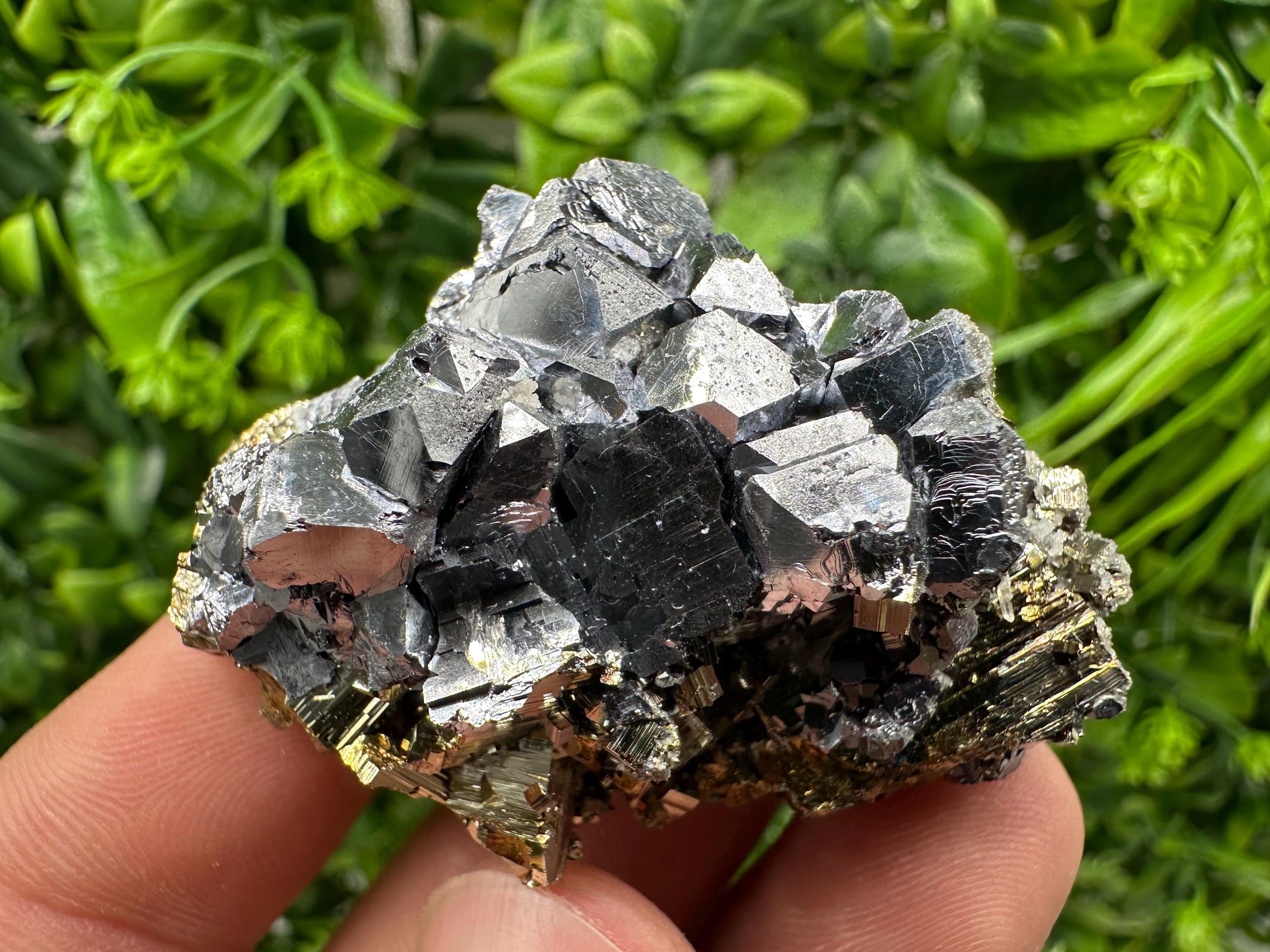 Galena on Pyrite Specimen: Borieva Mine, Bulgaria