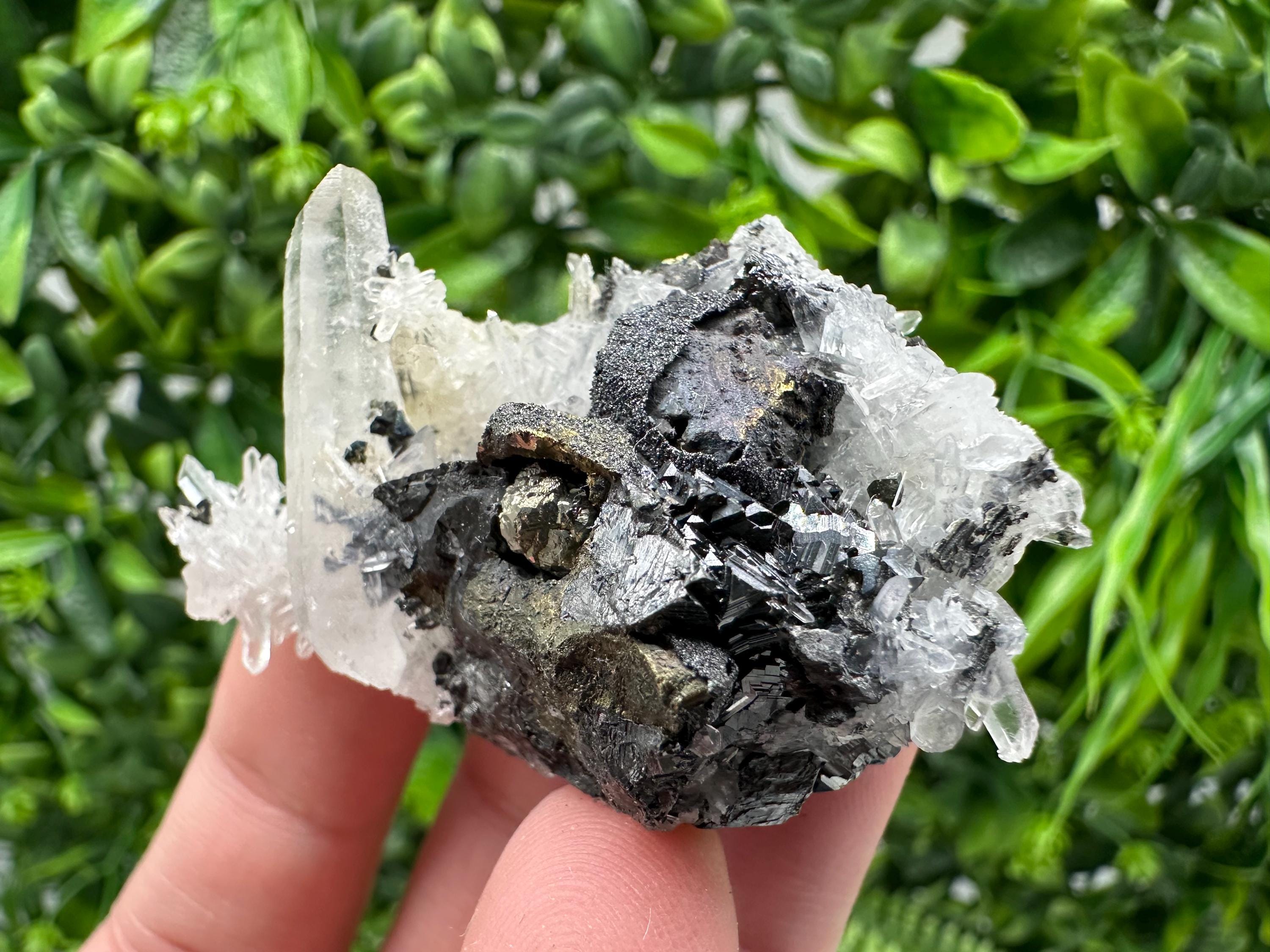 Wonderful Sphalerite Chalcopyrite on  Quartz whit Galena feom 9 th September mine,Bulgaria,natural,collection mineral specimen,gift