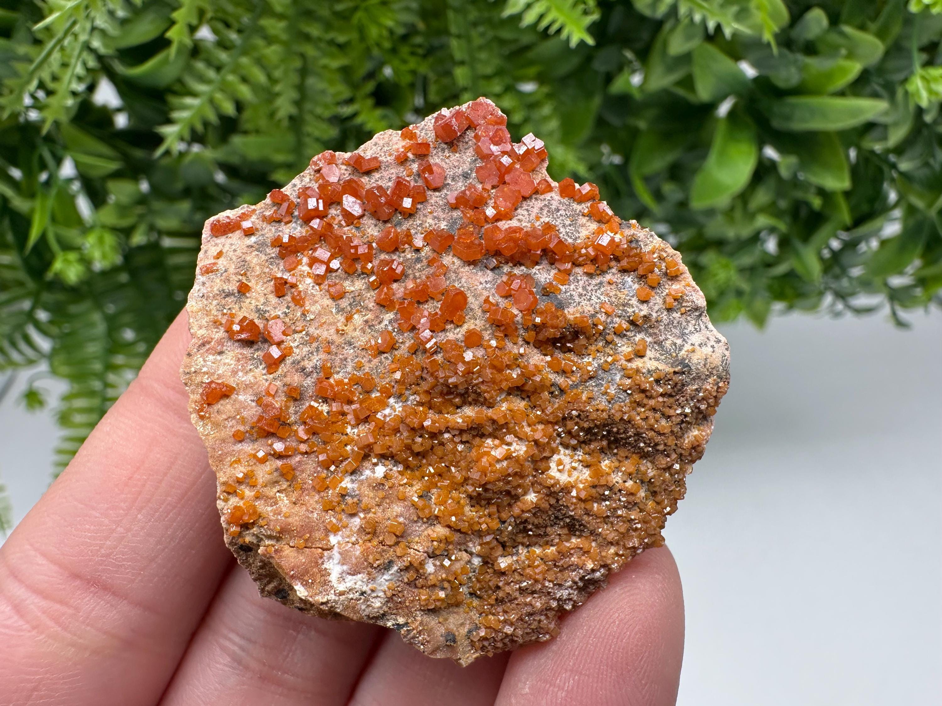 Red Vanadinite on Matrix from Marocco,crystal minerals Speciment cluster Vanadinite crystal Vanadinite Geology Vanadinite cluster minerals
