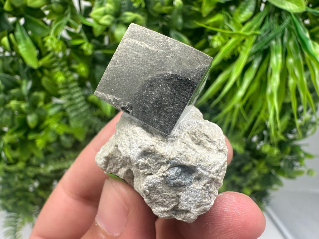 Large Pyrite Cubes on Matrix: Navajun, Spain - Home Decor Stone