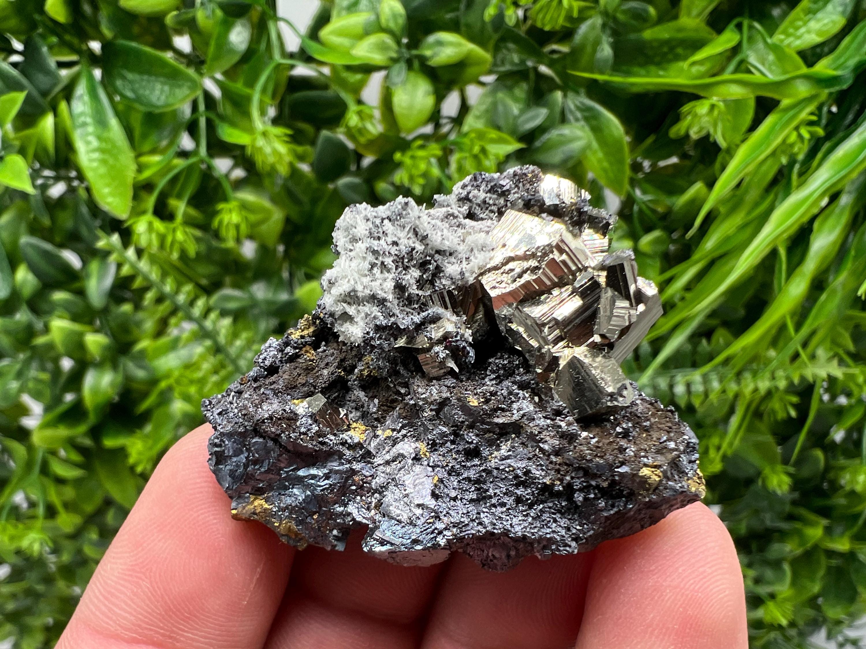 Golden Pyrite Sphalerite Cluster, Madan Bulgaria Mineral Specimen