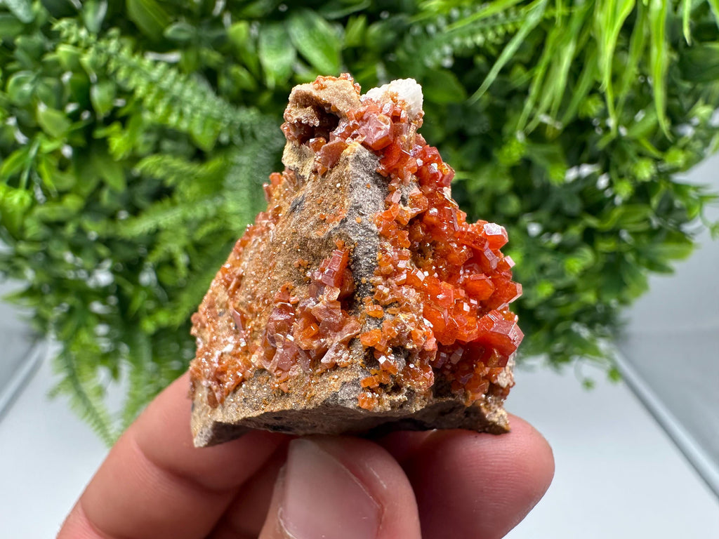 Red Vanadinite on Barite from Marocco,crystal minerals Speciment cluster Vanadinite crystal Vanadinite Geology Vanadinite cluster minerals