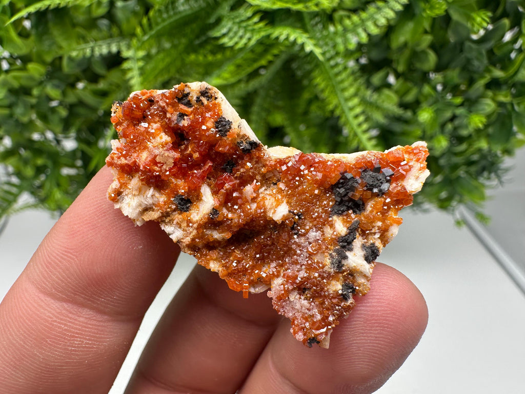 Red Vanadinite on Barite from Marocco,crystal minerals Speciment cluster Vanadinite crystal Vanadinite Geology Vanadinite cluster minerals