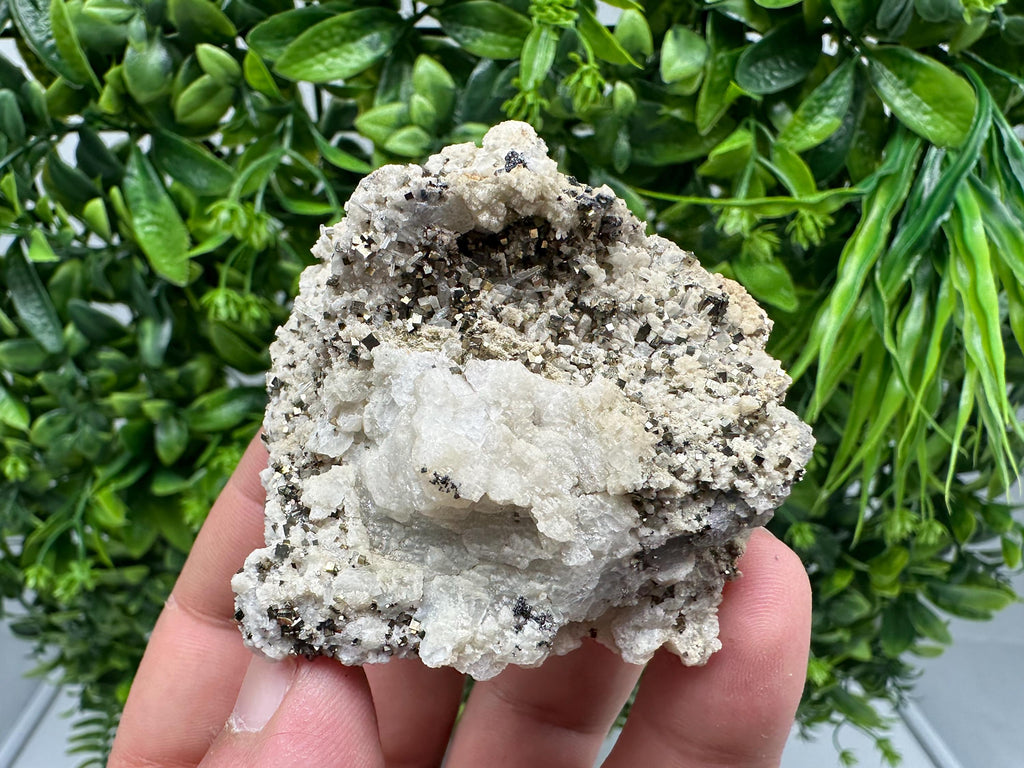 Pyrite on Green Quartz, Natural Minerals Specimen, Borieva Mine, Bulgaria