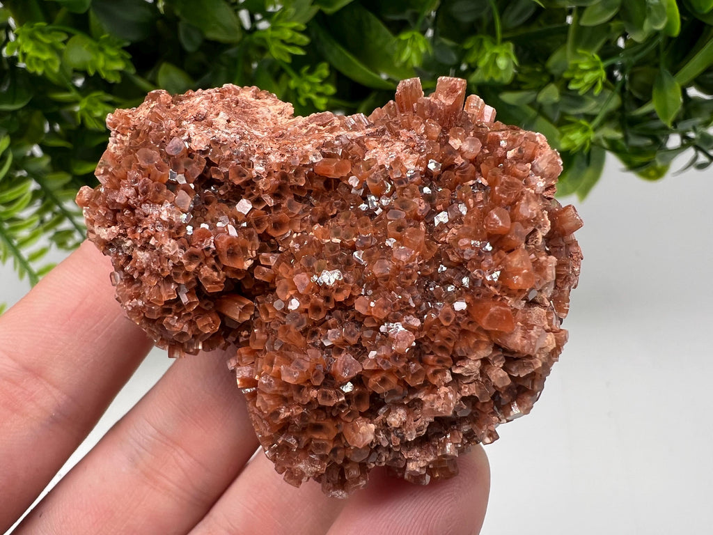 Large Aragonite Sputnik Cluster: Raw Moroccan Crystal Stone, Home Decor