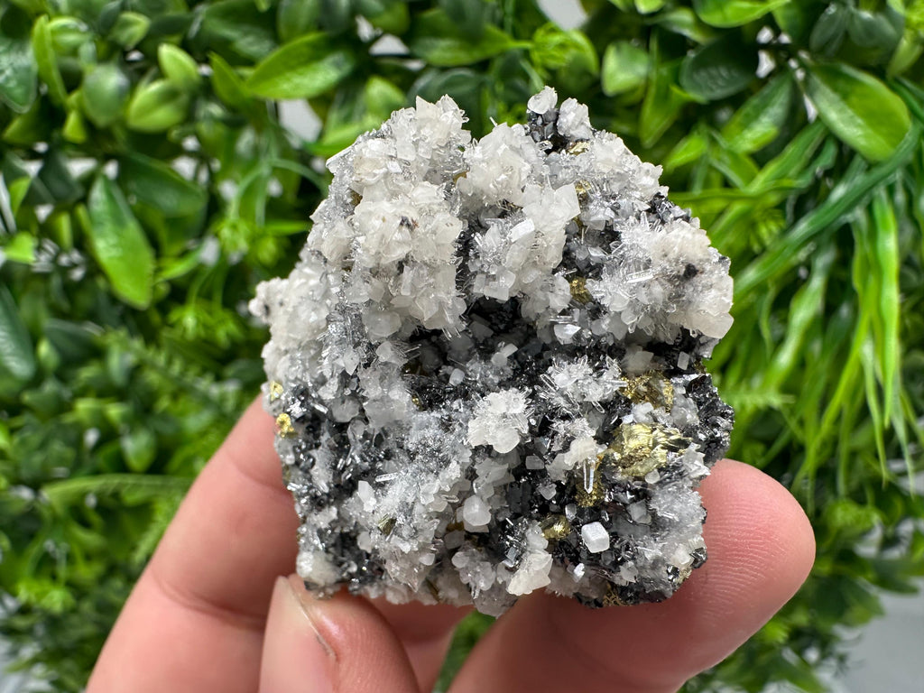 Wonderful Chalcopyrite Galena on Quartz whit Chlorite natural minerals souvenir crystal gift home decor stone Borieva mine Madan Bulgaria