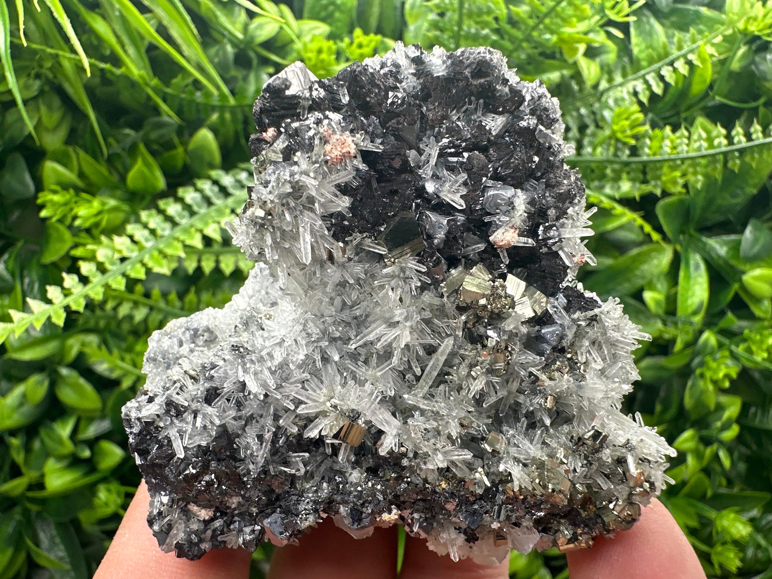 Sphalerite Galena Pyrite on Quartz, Borieva Mine Mineral Specimen