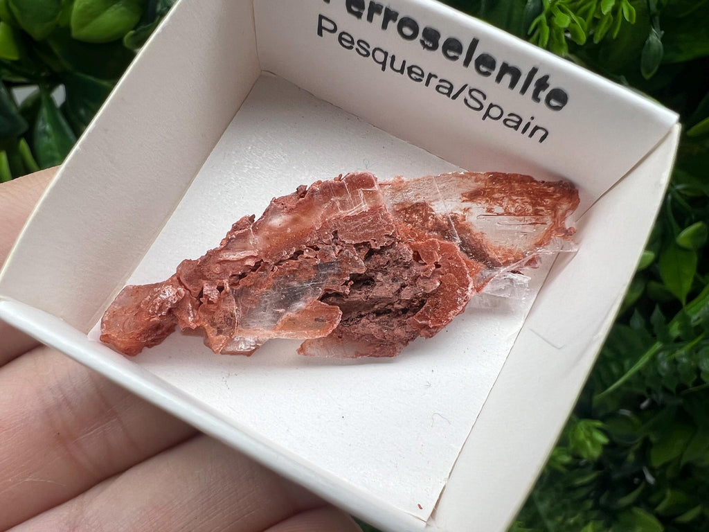 Rare Ferroselenite Specimen: La Pesquera, Spain Mineral (5/2 cm)