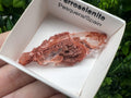 Rare Ferroselenite Specimen: La Pesquera, Spain Mineral (5/2 cm)