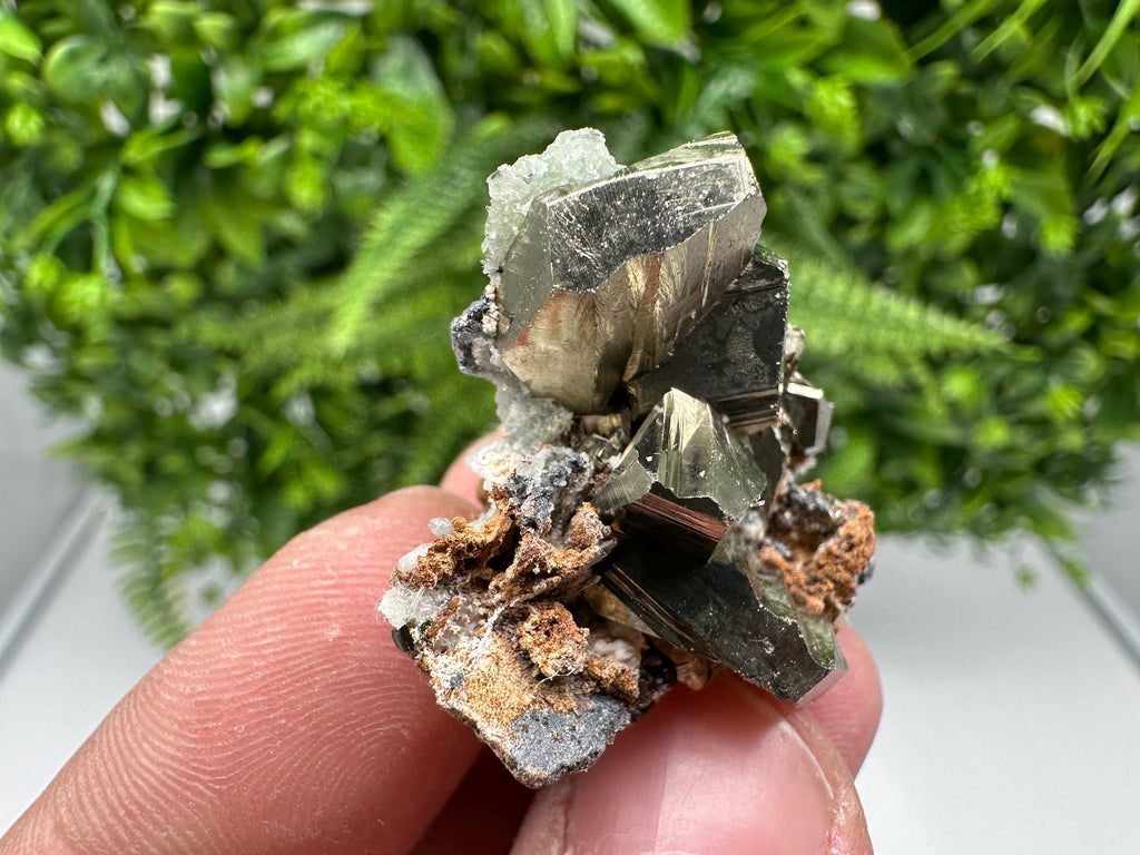 Golden Pyrite,Sphalerite from 9th September mine,Madan,Bulgaria,natural,collectible mineral specimen,home decor crystal,Pyrite cluster,