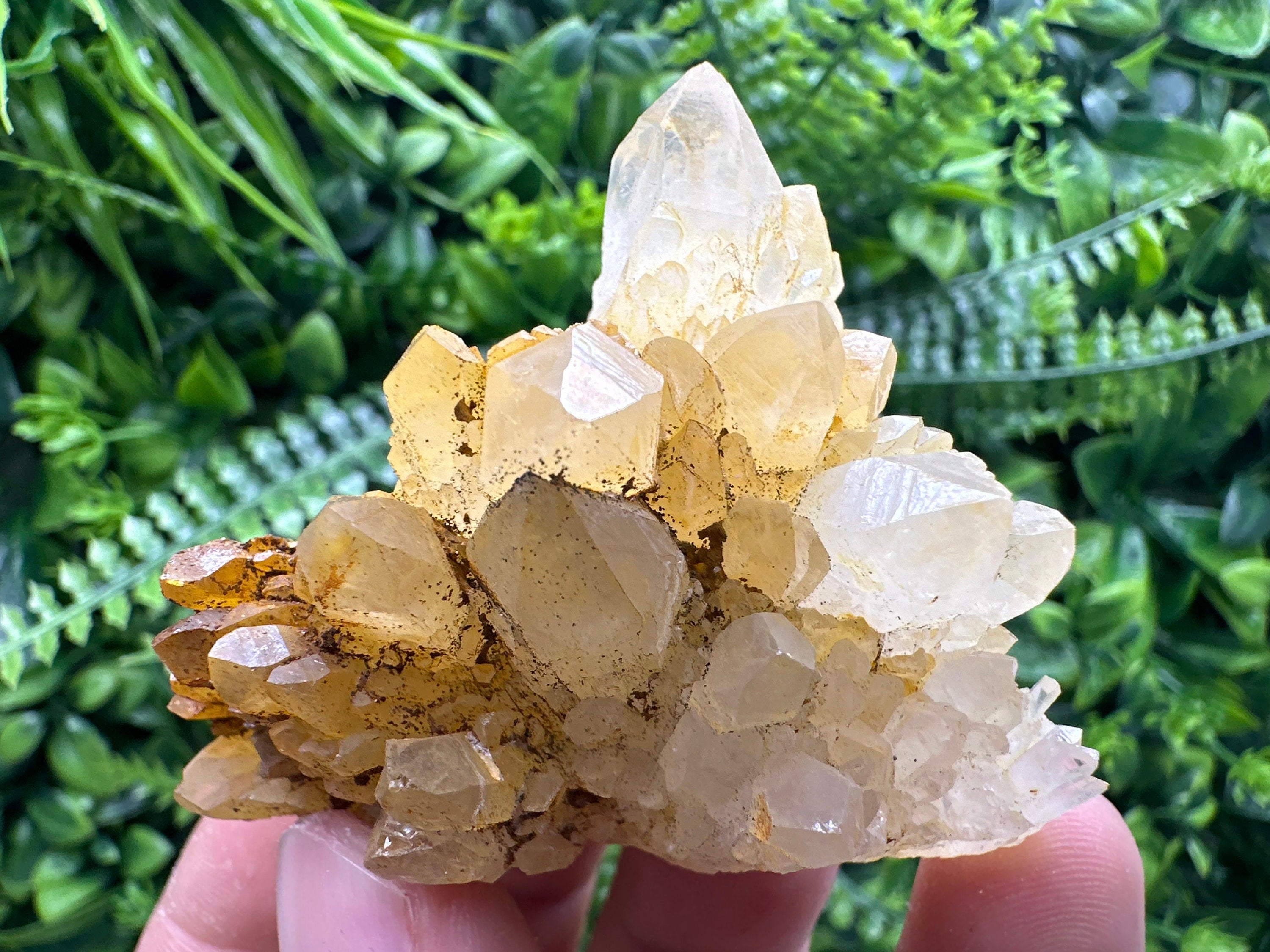 Transparent Quartz Cluster: Natural Mineral Specimen, Bulgaria