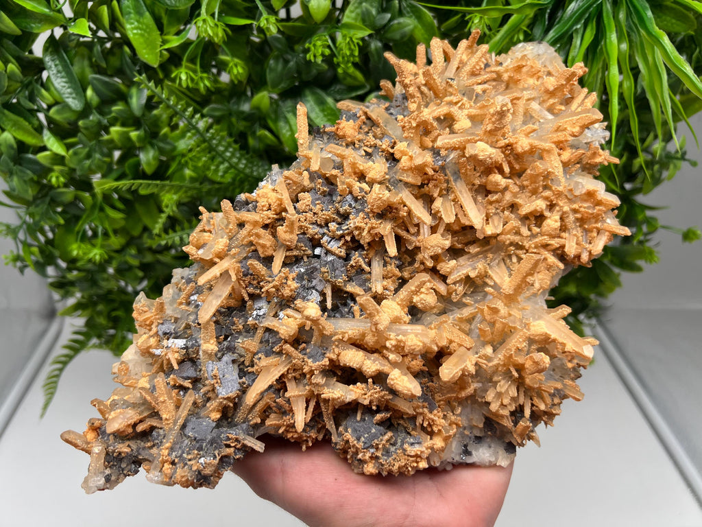 Collection Skeleral GALENA on Transparent Quartz whit Brown Calcite,natural,collectibles mineral specimen,home decor stone,gift,collection