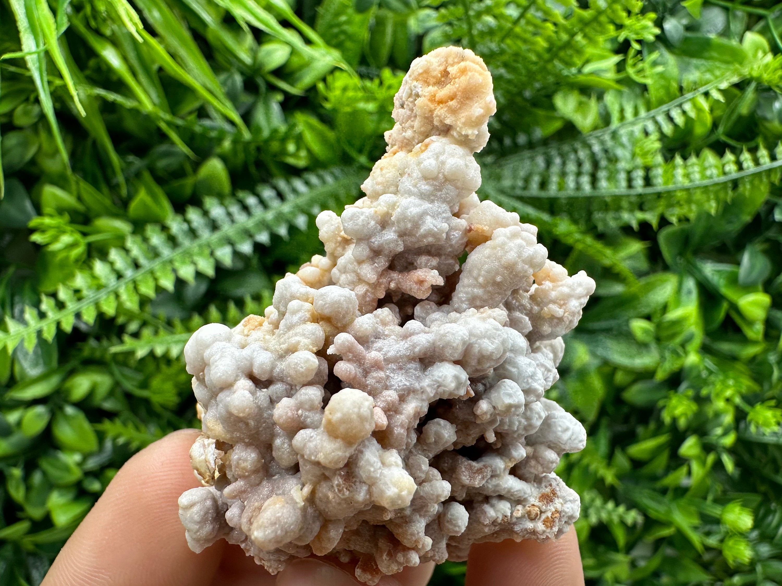 Dimitrovgrad Aragonite Cluster, Bulgaria Mineral Specimen (5/5/5cm)