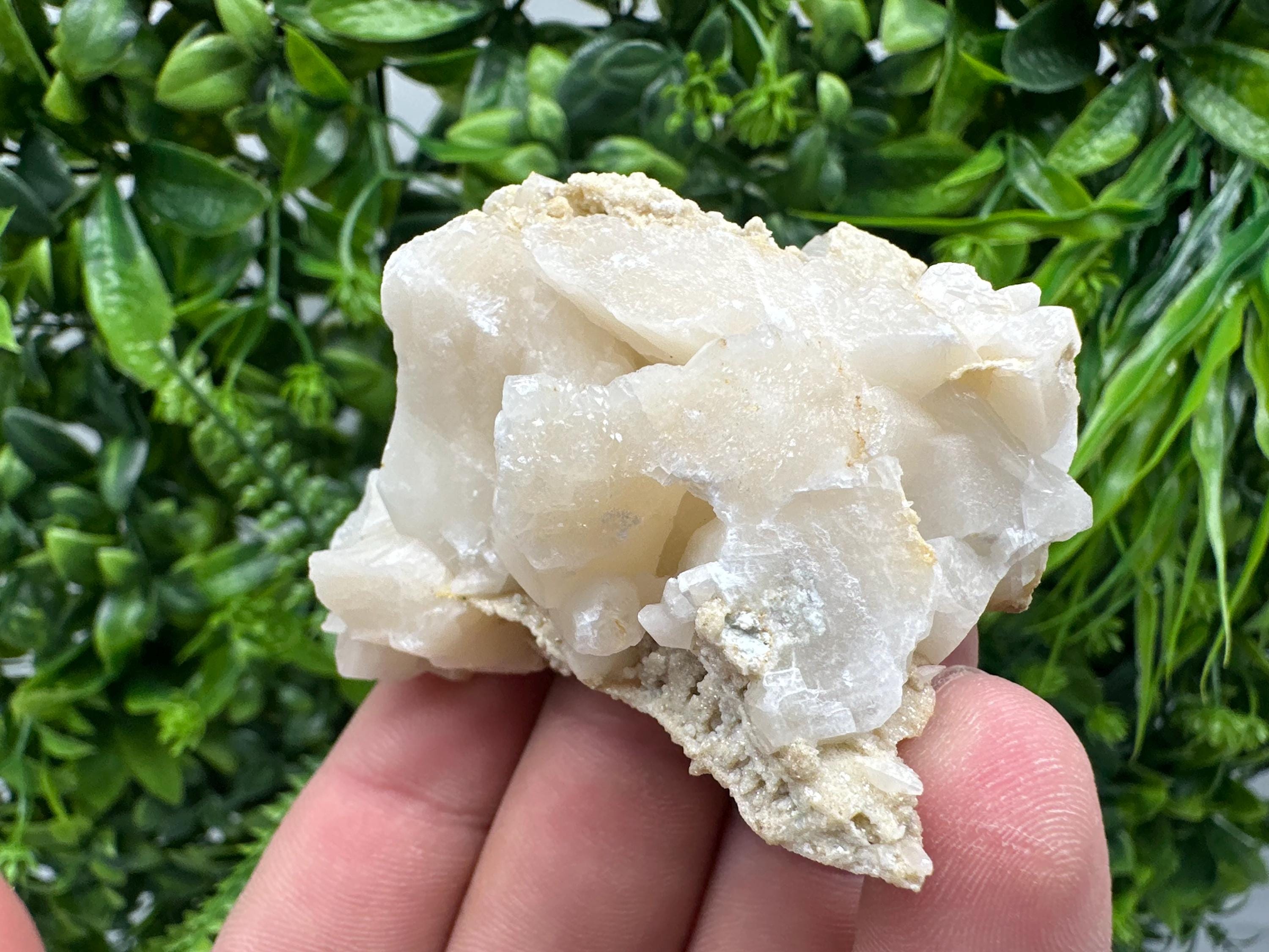 Calcite on Green Quartz: Djurcovo Mine, Bulgaria Crystal