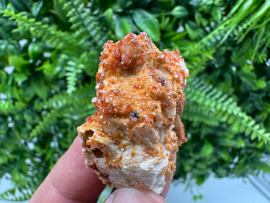 Red Vanadinite Crystal Cluster on Matrix, Morocco Mineral Specimen