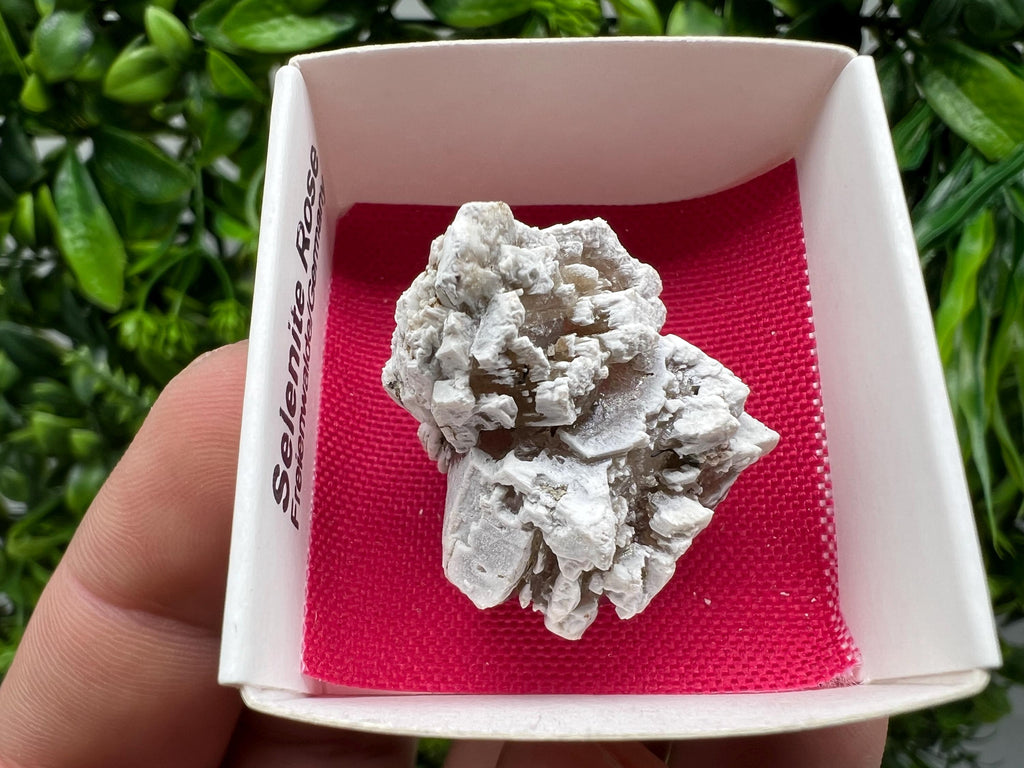 Selenite Rose Freienwalde,Germany natural crystal minerals,specimen,clusters,souvenirs,home decor,gift minerals,rare stone,collection