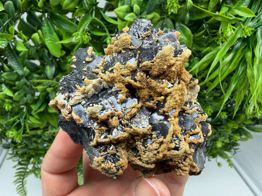 Skeletal Galena with Dolomite: Krushev Dol Mine, Bulgaria
