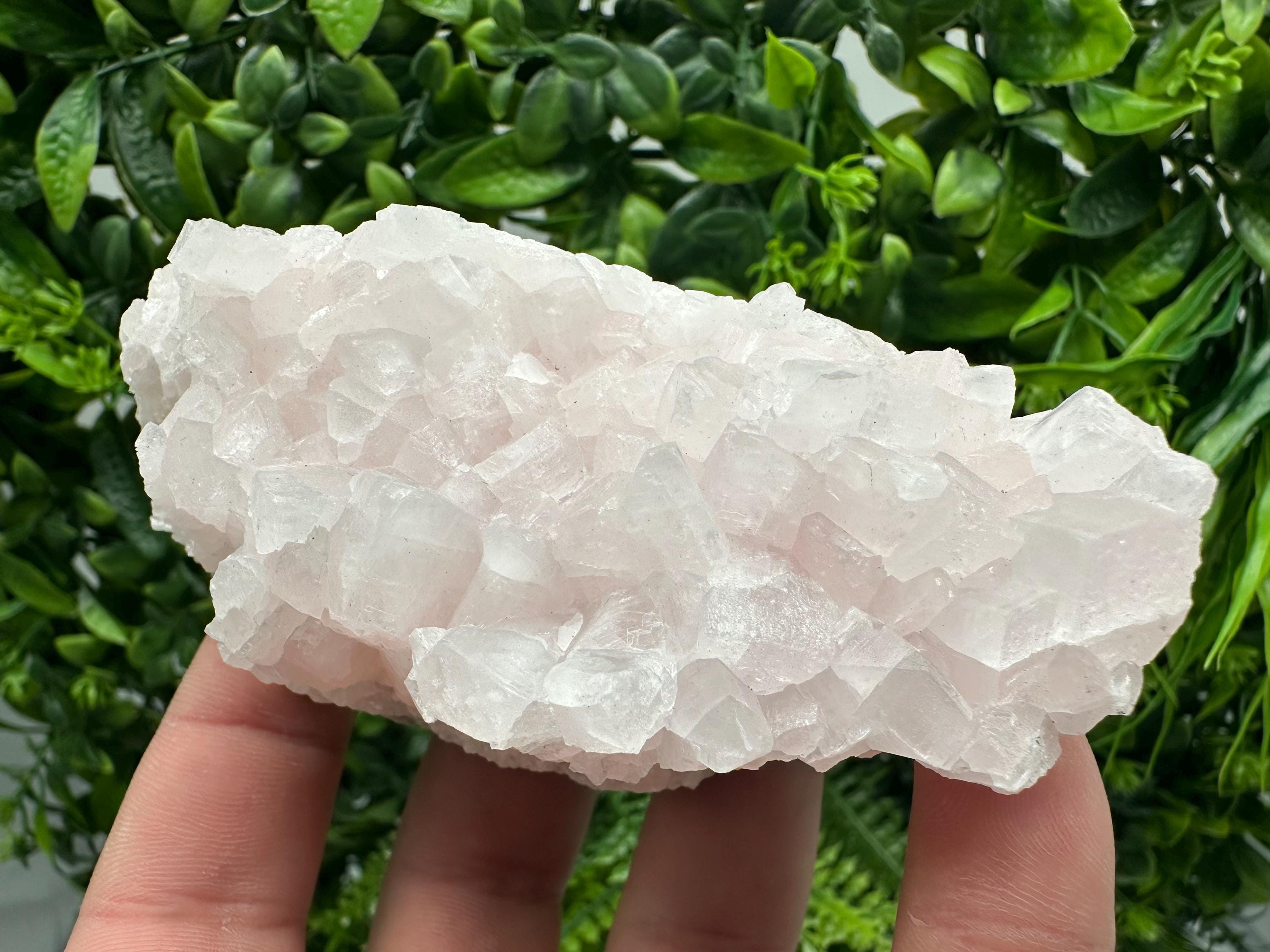 UV Reactive Mangano Calcite Crystal: Androvo Mine, Bulgaria