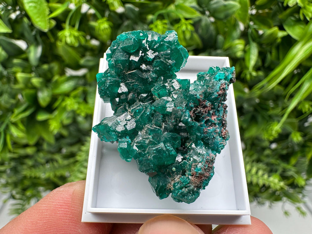 Stunning Green Dioptase from Sanda Hills,Mindouli,Pool Department,Mindouli District,Congo,green Dioptase,Dioptas Crystal,Dioptase collecting