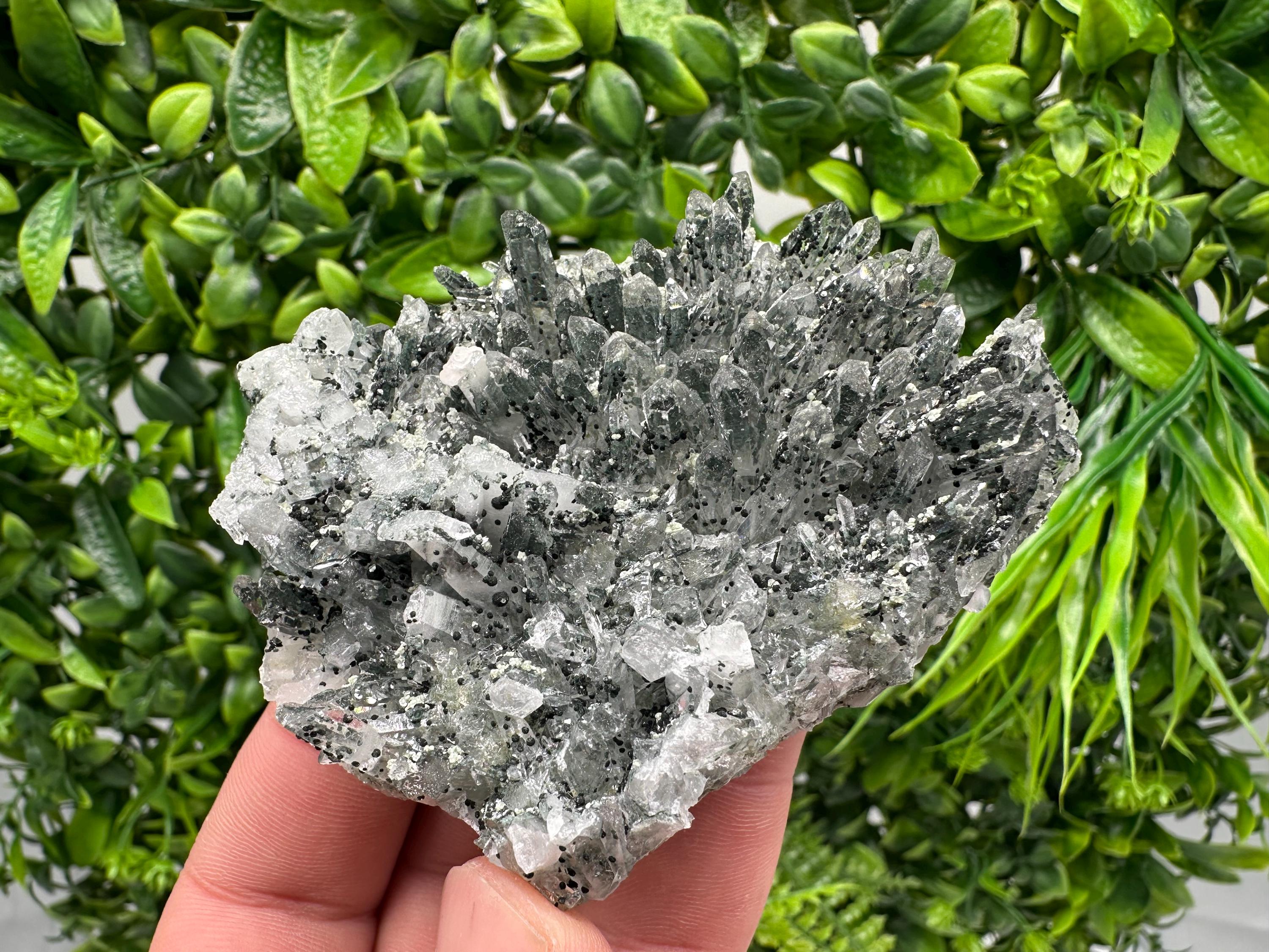 Chlorite Quartz Crystal Cluster - Borieva Mine, Bulgaria