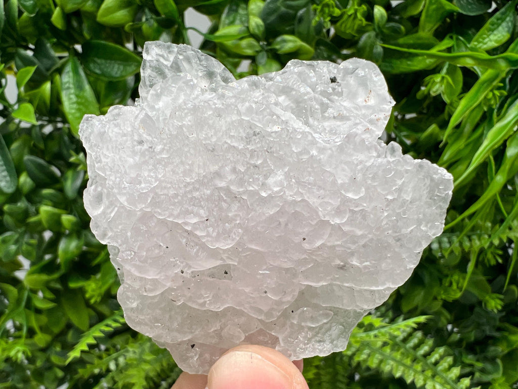 Mangano Calcite with Galena, Borieva Mine Crystal, Bulgaria