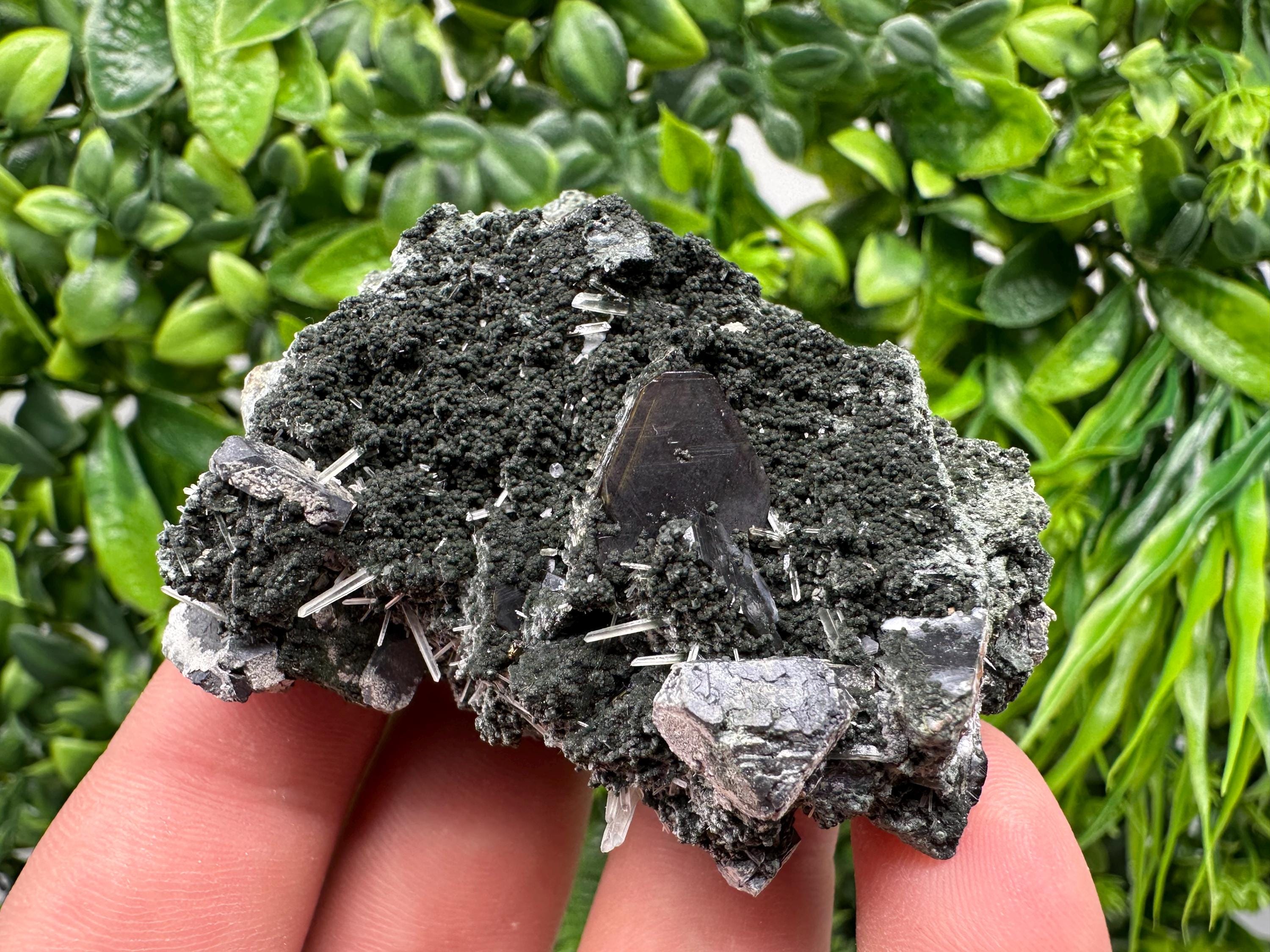 Sphalerite on Quartz, Epidote, Chlorite, Borieva Mine Mineral Specimen