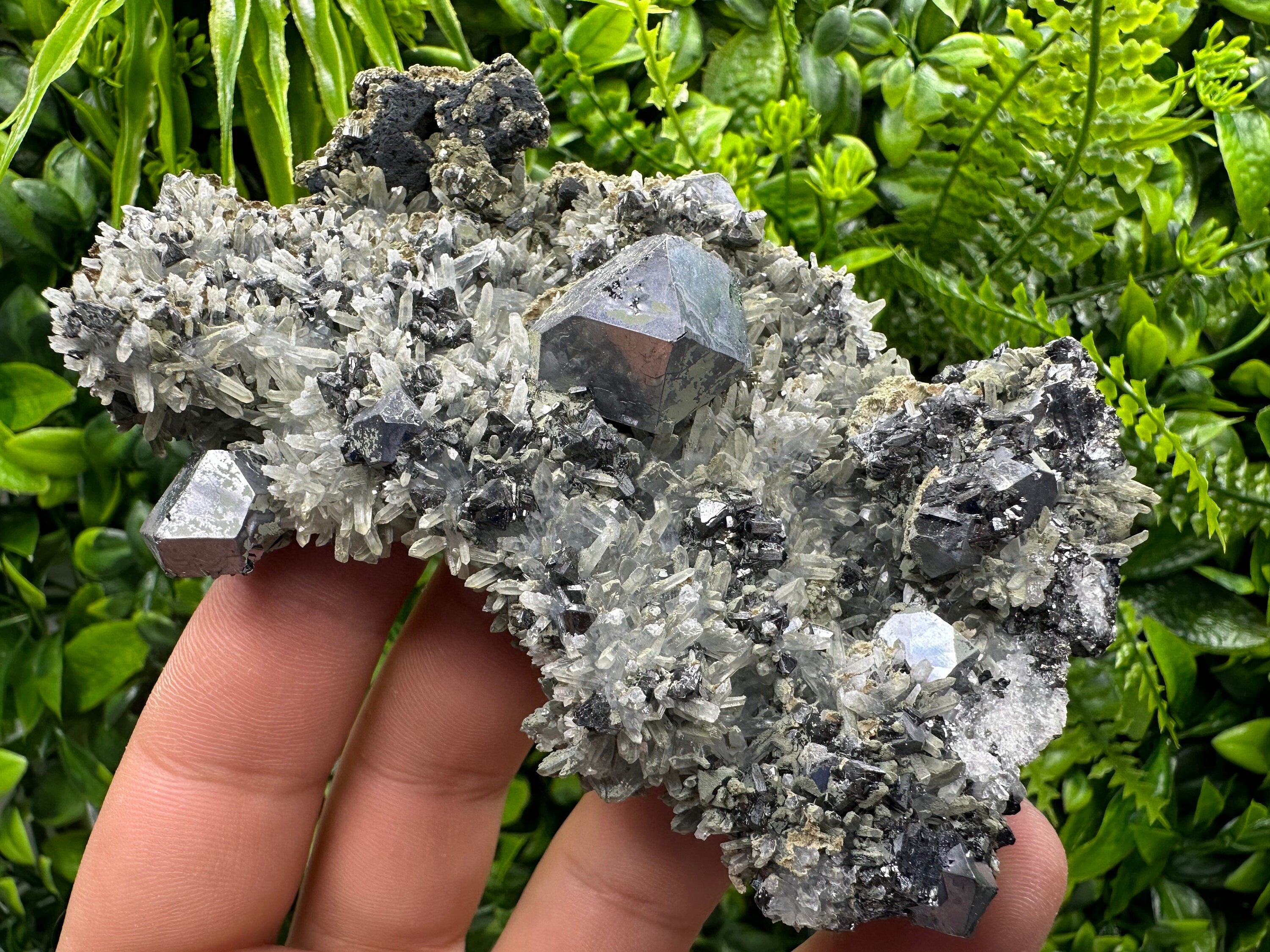 Galena Pyrite Sphalerite on Quartz, Madan Bulgaria Mineral Specimen
