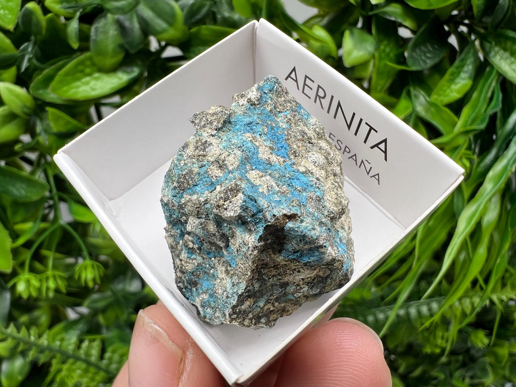 Rare Raw Aerinite Specimen: Mineral Collection Crystal from Spain