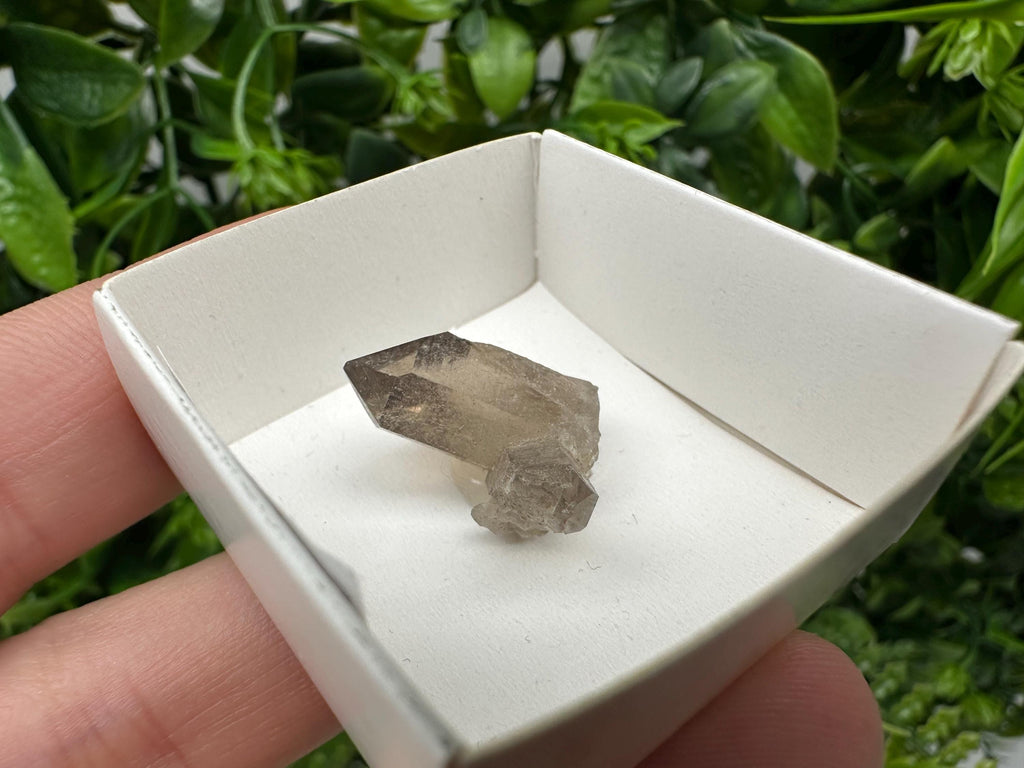 Rare Smoky Quartz Point, Fedenstock Switzerland Mineral Specimen