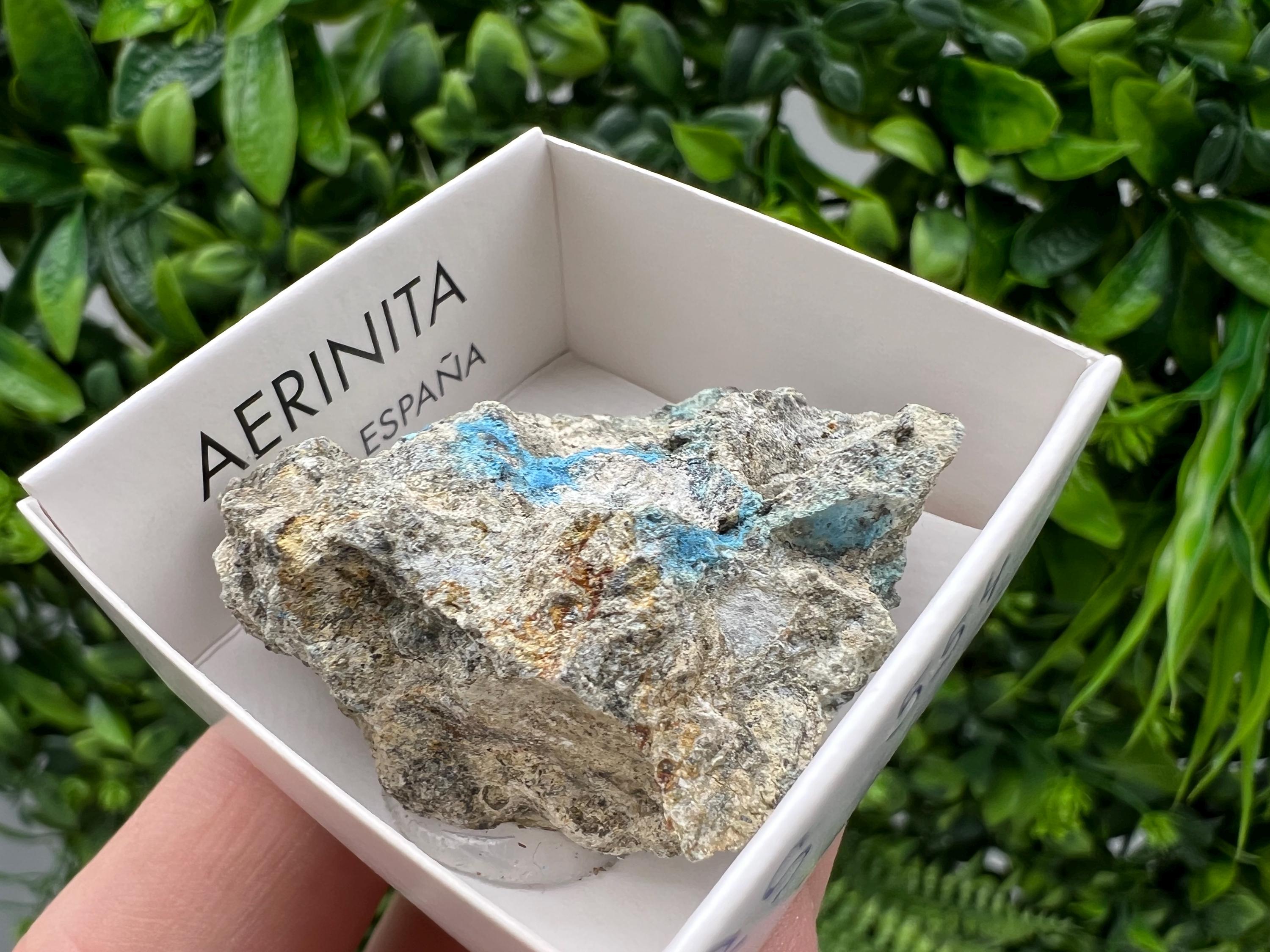 Rare Raw Aerinite Mineral Specimen: Collection Crystal from Lleida, Spain (4/3.5 CM)